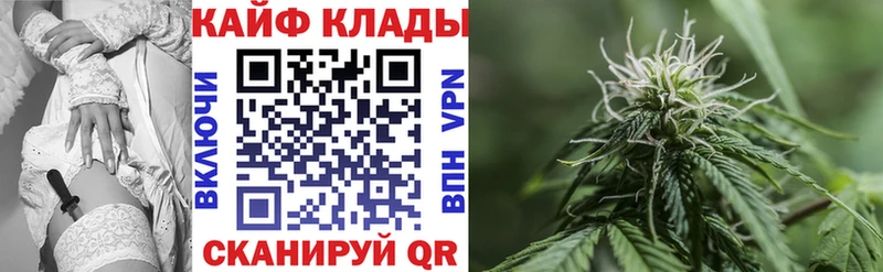 Галлюциногенные грибы Рассказово